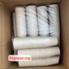 Coffee Cup