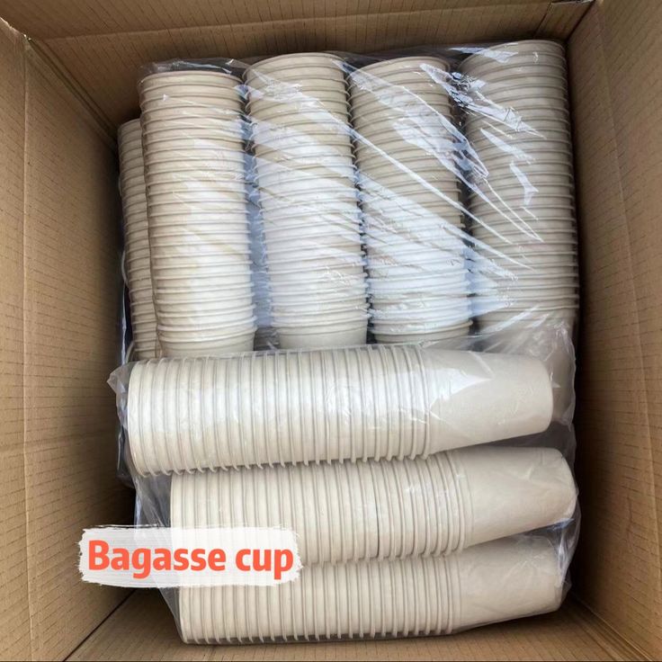 Coffee Cup