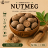 Nutmeg