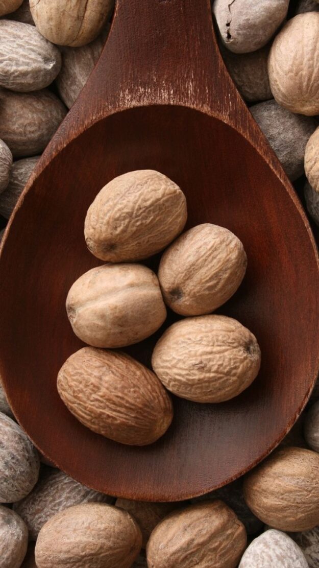 Nutmeg